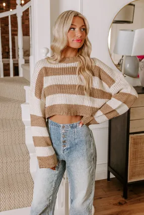 Cute Energy Knit Crop Sweater