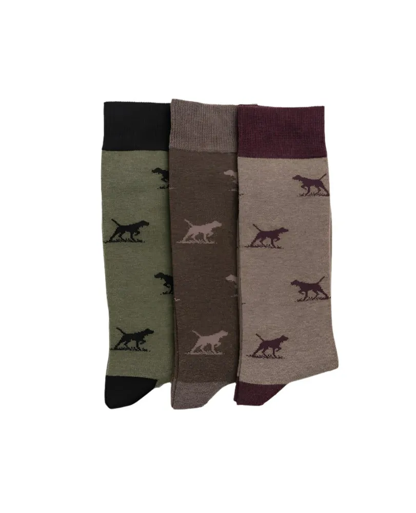 Rodd & Gunn - Dogs-A-Plenty Three Pack Socks